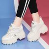 Ladies Casual Shoes Lace-up Fashion Sneakers Platform Snow Boots Autumn Women Boots PU Leather Women's Shoes Zapatos De Mujer